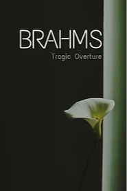Brahms (conducting)
